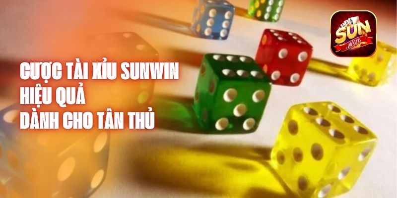 Cược Tài Xỉu Sunwin Hiệu Quả Dành Cho Tân Thủ