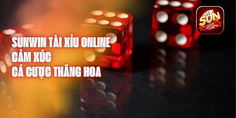 Sunwin Tài Xỉu Online - Cảm Xúc Cá Cược Thăng Hoa